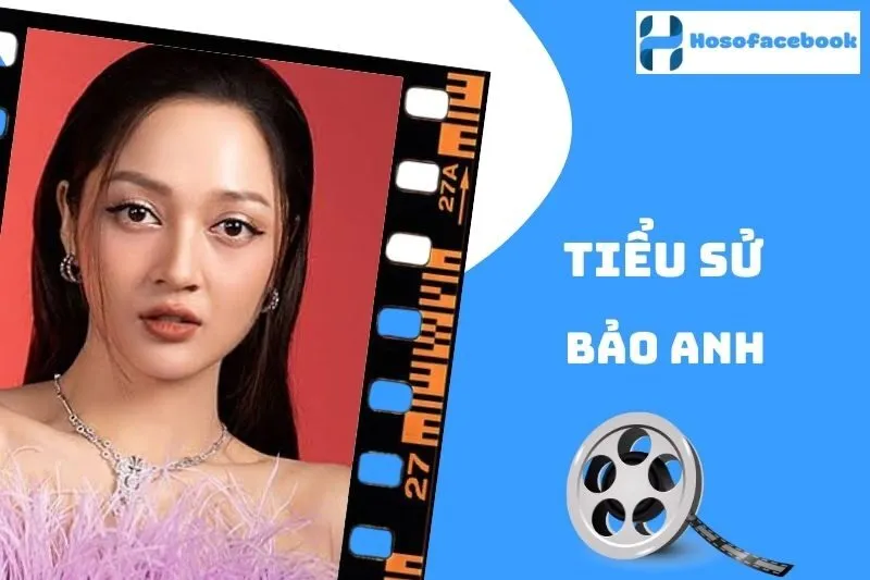 Tiểu sử Bảo Anh 2025: Hành trình và sự nghiệp