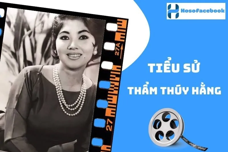 Tiểu Sử Thẩm Thúy Hằng 2025: Cuộc Đời Và Sự Nghiệp Nổi Bật