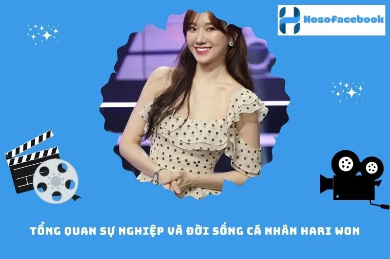 Tổng quan sự nghiệp và đời sống cá nhân Hari Won